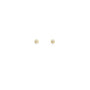 Willow Studs