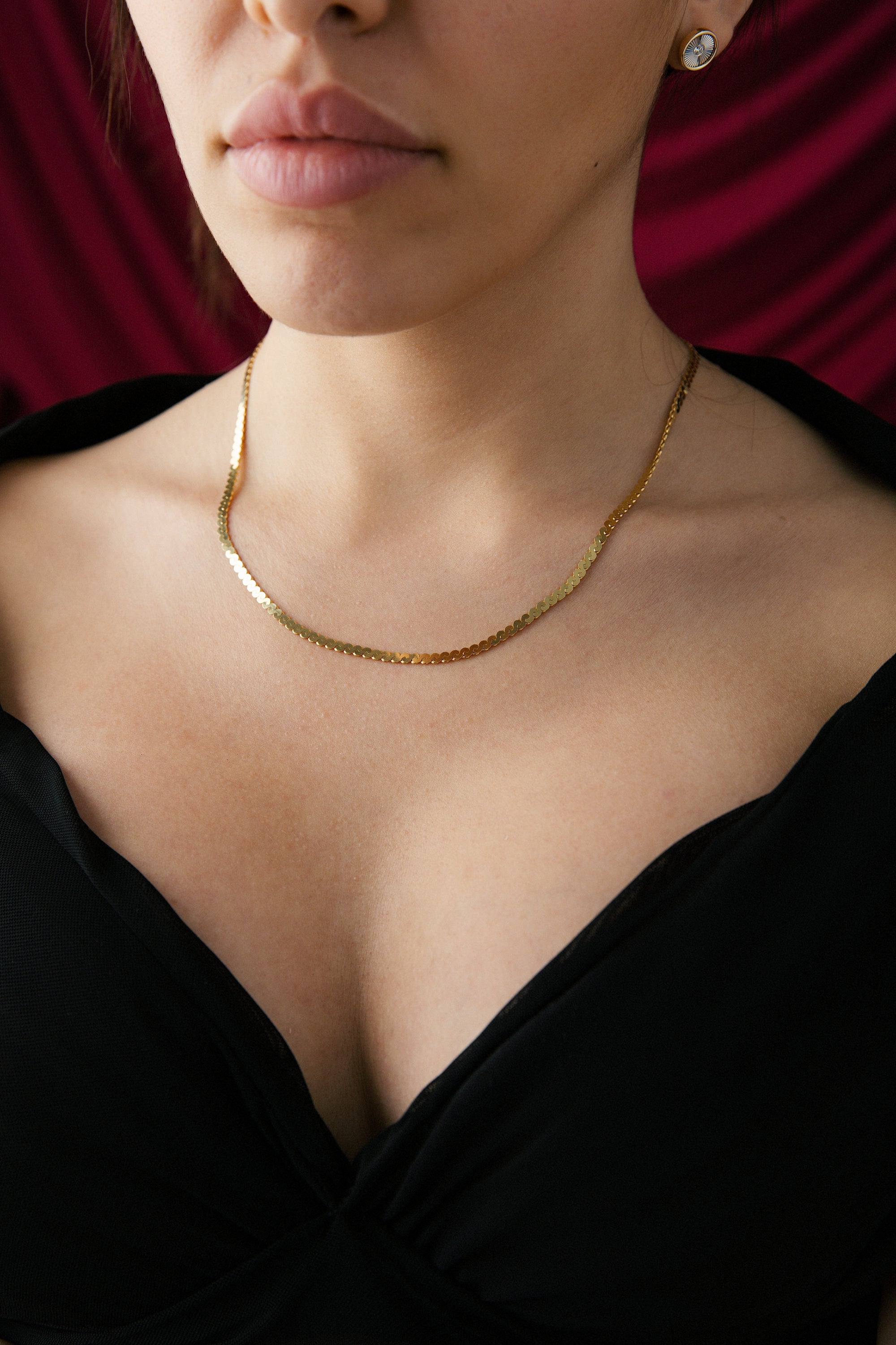 Serpent Chain