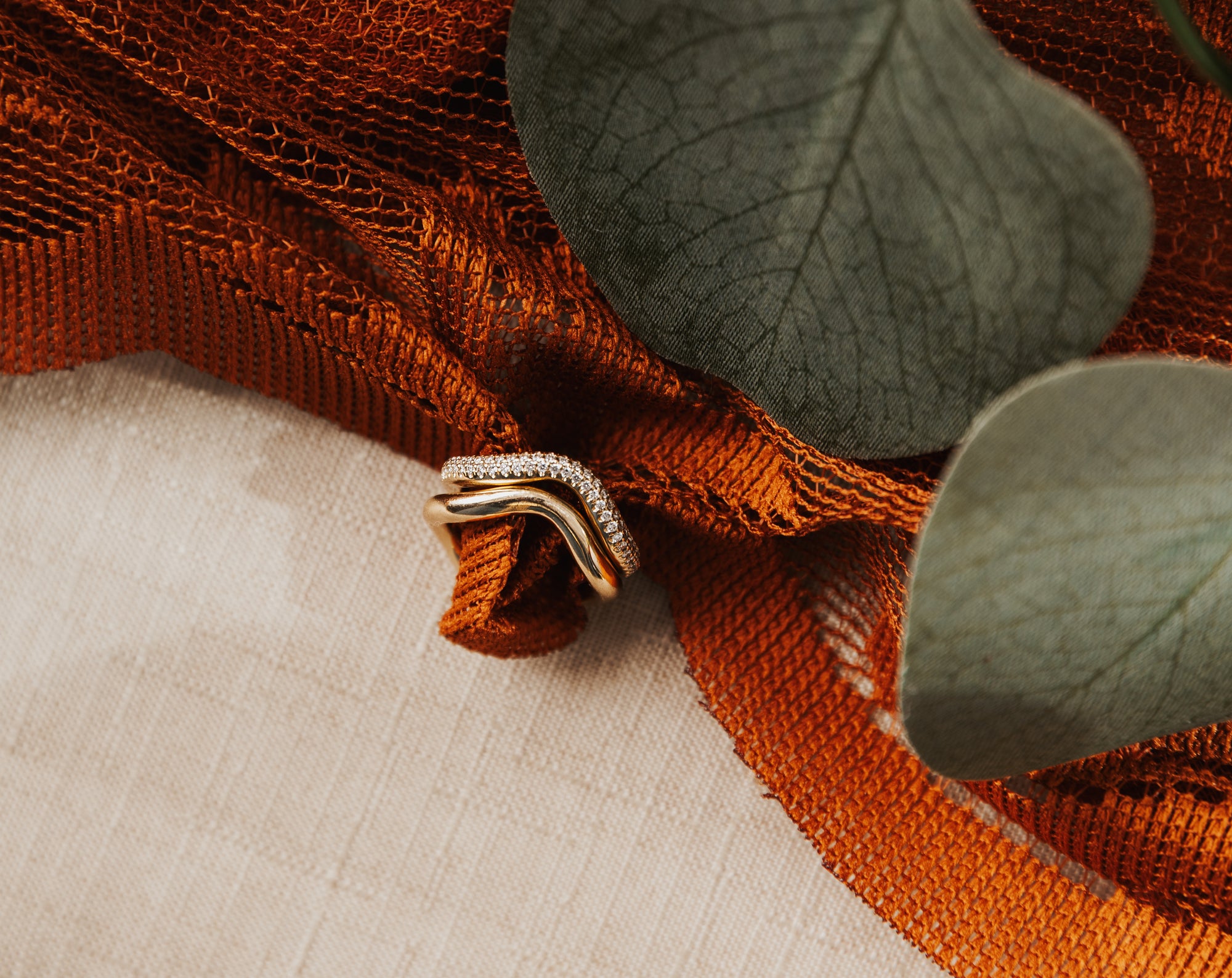 Bondeye Bundles for Black Friday