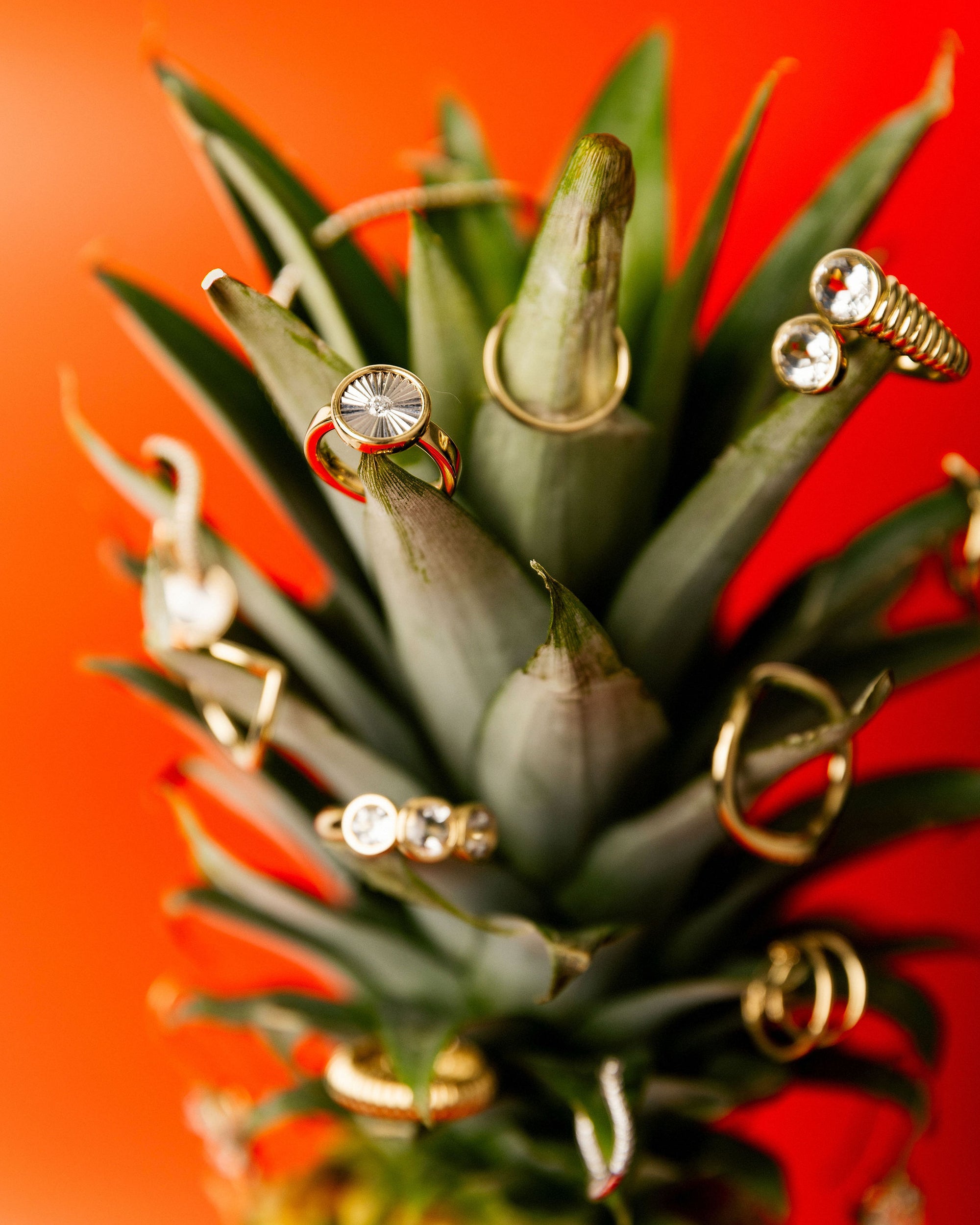 Fan Ring - BONDEYE JEWELRY ®